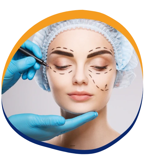 Aesthetic Genital Surgery